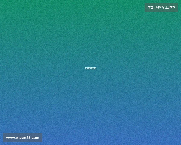 篮球有哪些大赛